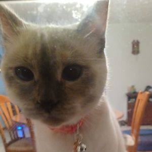 Meet your Posher, Lori